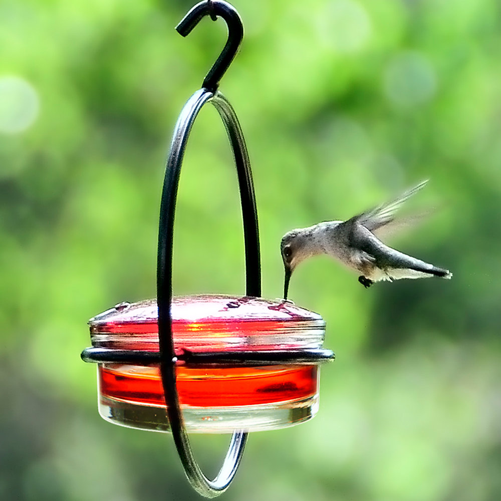 Sphere Hummingbird Feeder Yardbirds