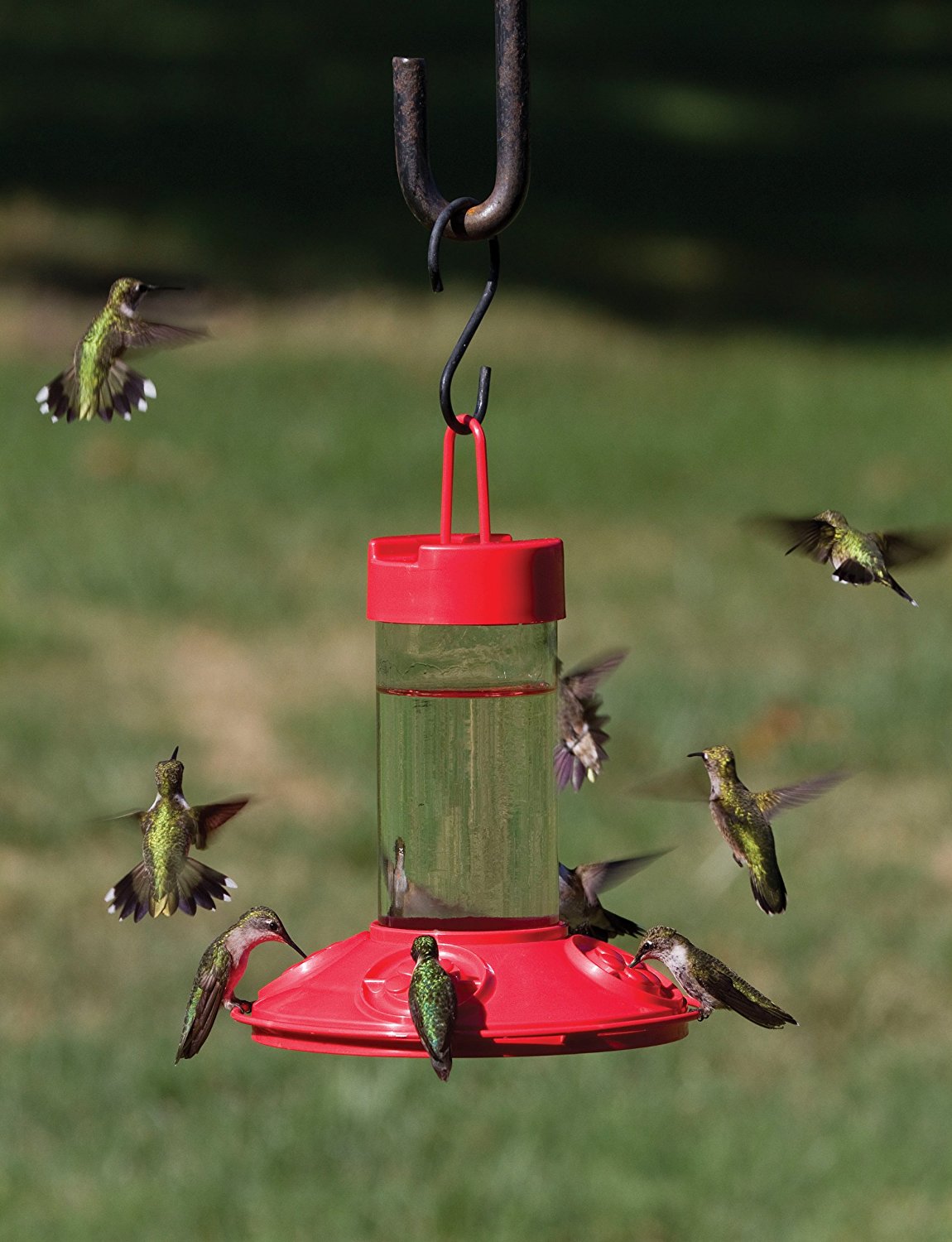 Dr Jb S Clean Feeder Yardbirds