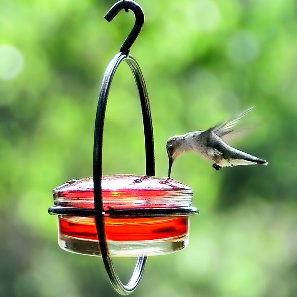 Sphere Hummingbird Feeder