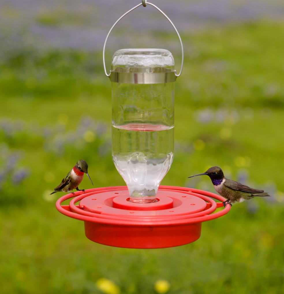“Best-1” Hummingbird Feeder