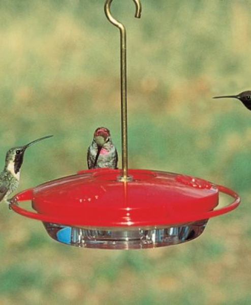 Humming Bird Center