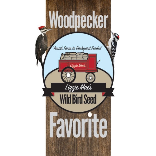 Woodpecker favorite