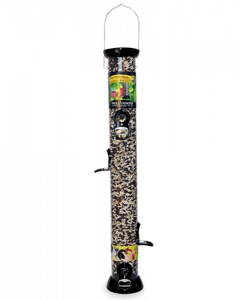 Browse All Droll Yankee Bird Feeders