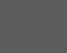 Proin non ligula luctus