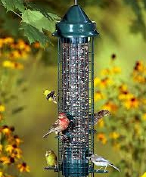 Bird Feeders